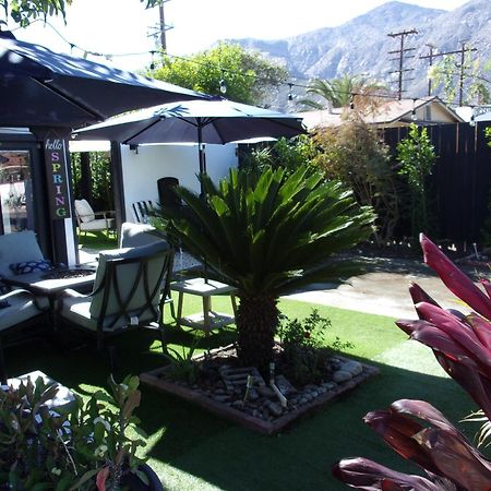 Updated Dwntwn 2Bd Twnhse W/Hot Tub& Private Patio Palm Springs Esterno foto
